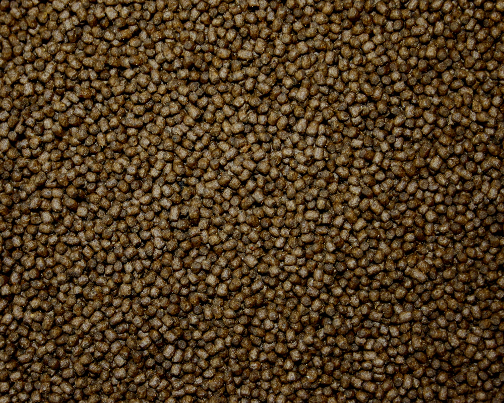 All Season Professional Ganzjahresfutter für Koi jeden Alters, 3mm Koipellets, 15kg