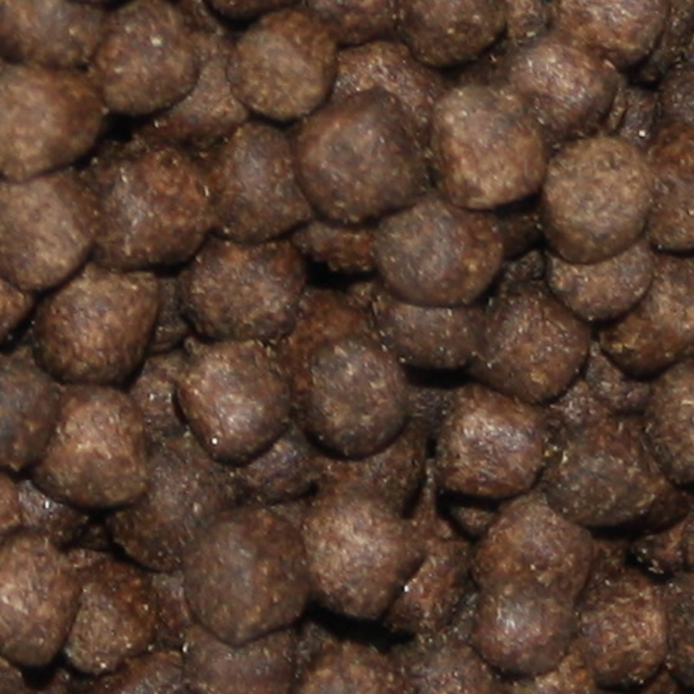 Koifutter Frühjahr,  Immunschutzfutter, Vitalfutter mit Monoglyceriden, Frühjahrsfutter Plus 5mm 5kg