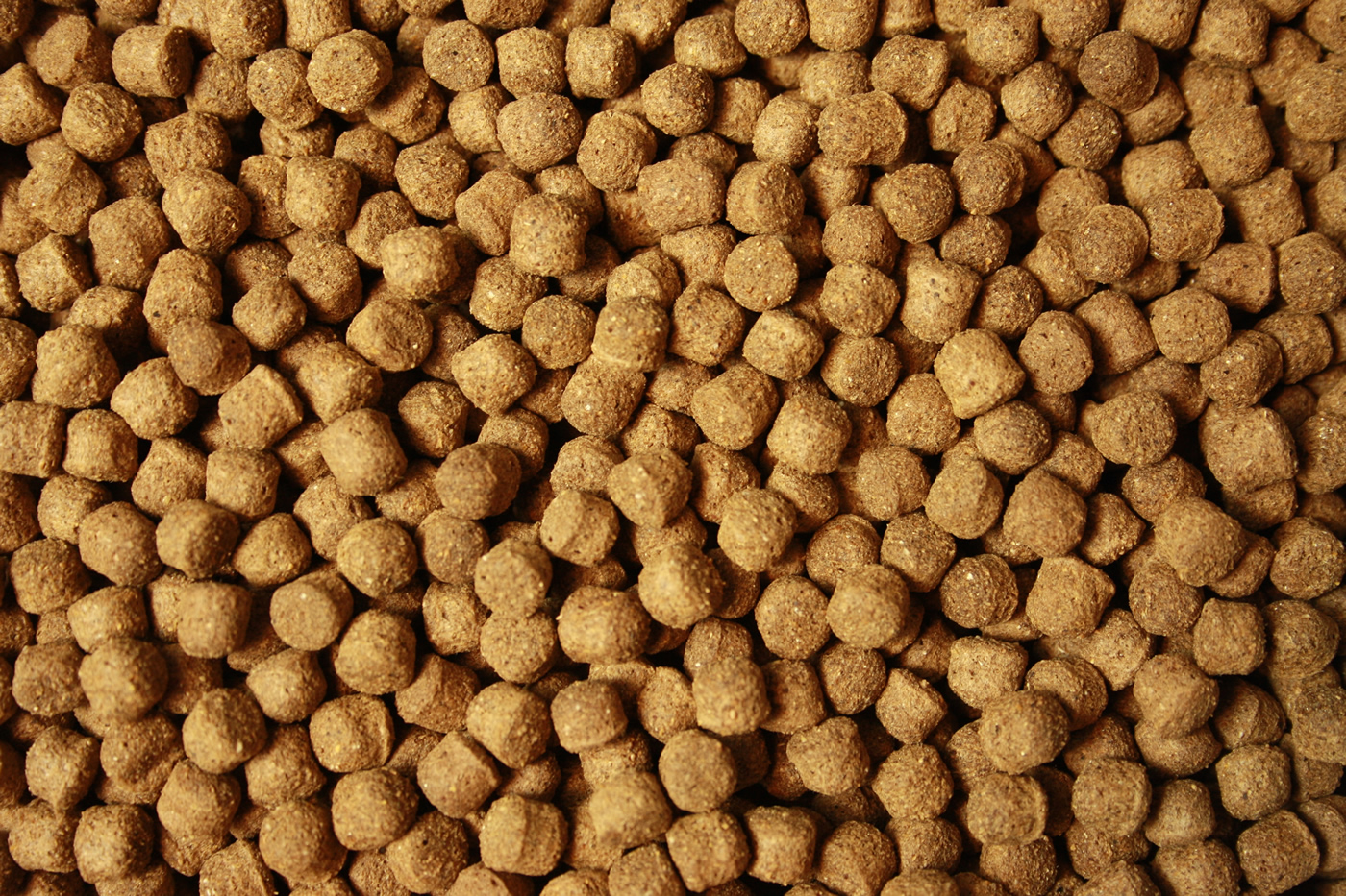 Jumbo Koifutter All Season Ganzjahres Koifutter Schwimmfutter für große Koi 8mm 5kg Eimer