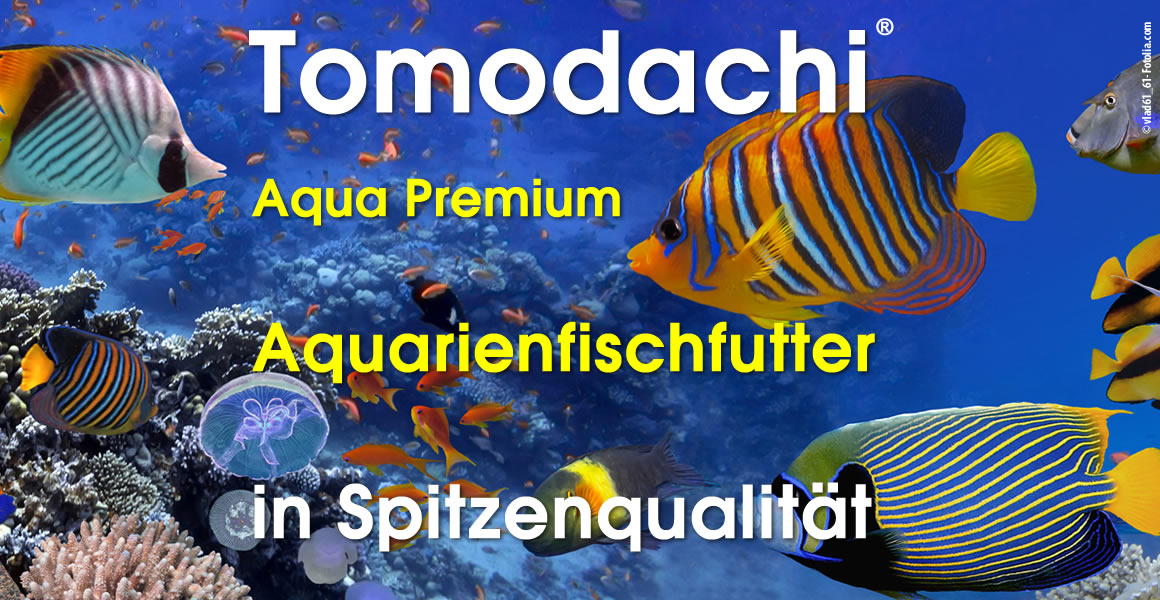 Zierfischfutter, Aquarienfischfutter mit Astax, Tomodachi  Premium Fischfutter,  4 -5 mm 1kg