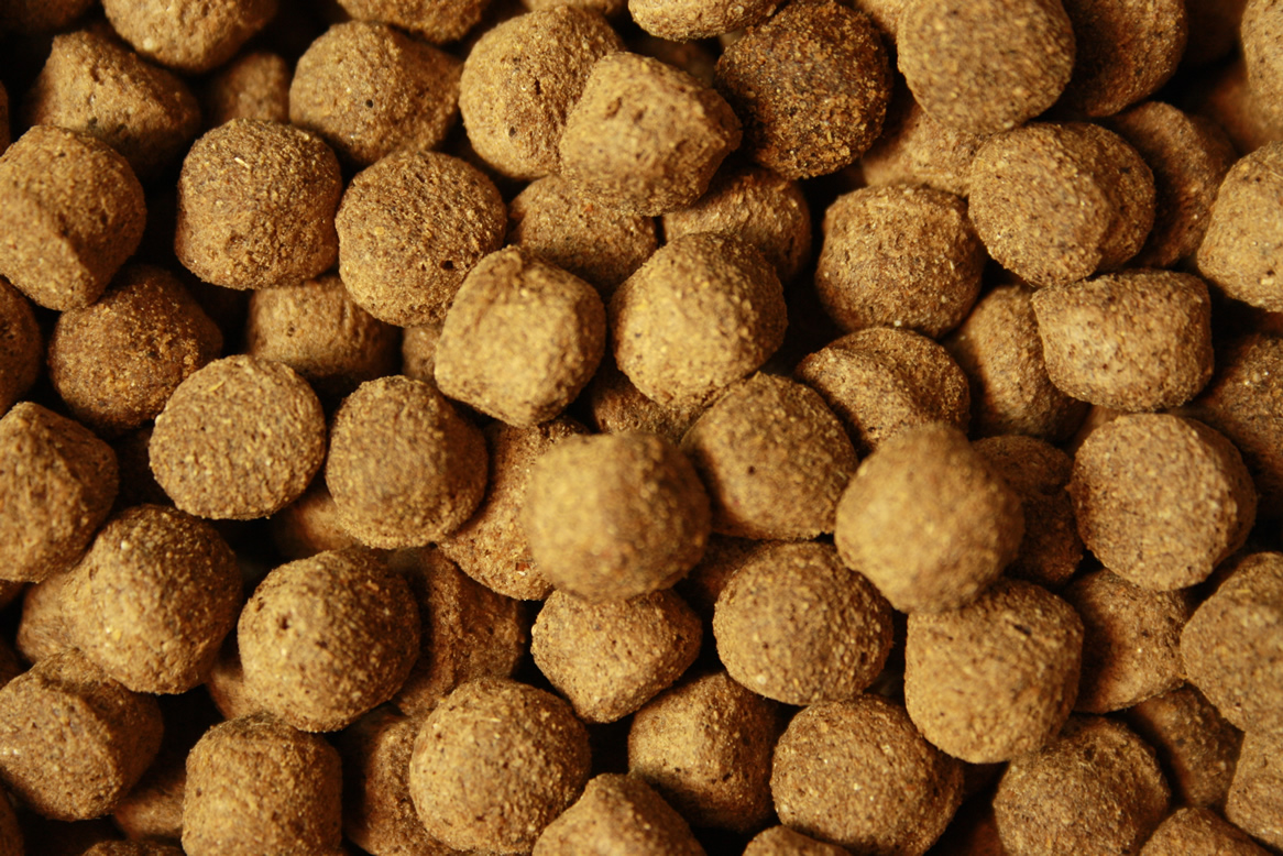 Antibakterielles Koifutter mit Monoglyceriden All Season Vital, Immunschutz, Koigesundheit  8mm 10kg