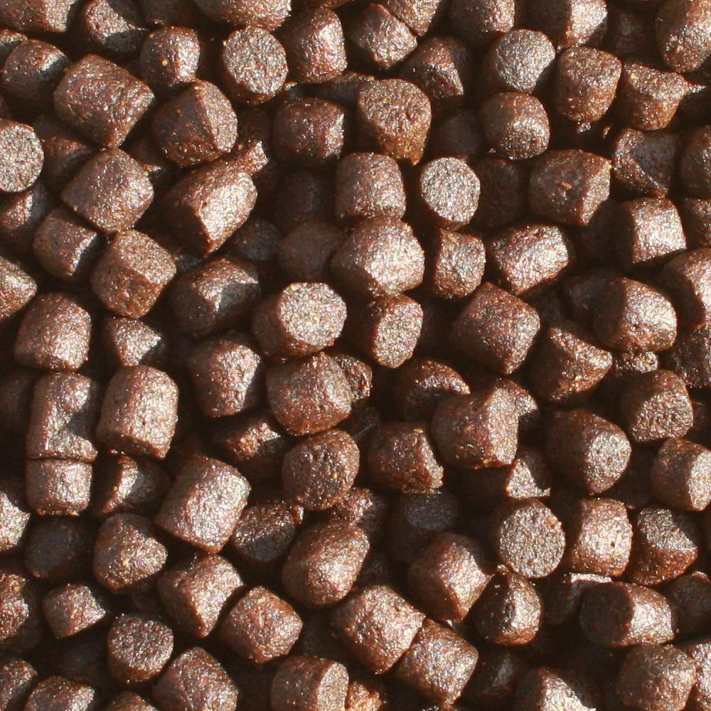 Koi Winterfutter Gesundheitsfutter Immunschutz mit Astax Winterfood Professional VITAL 5mm 5kg