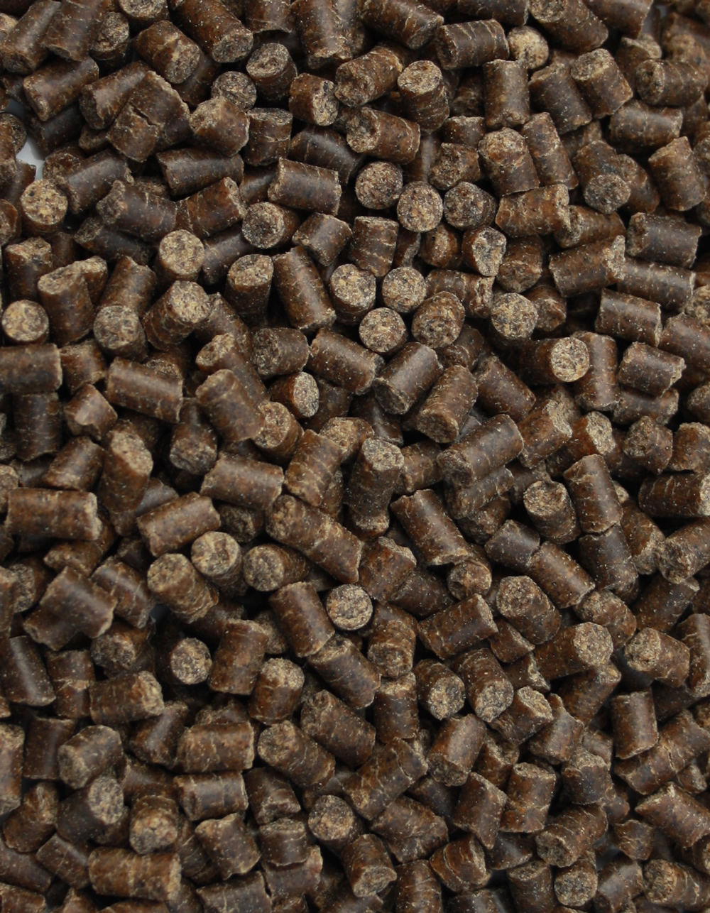 Koifutter, Winterfutter, Sinkfutter für Koi in Winterruhe, WinterDiet, Energie und Schonkost 5mm 5kg