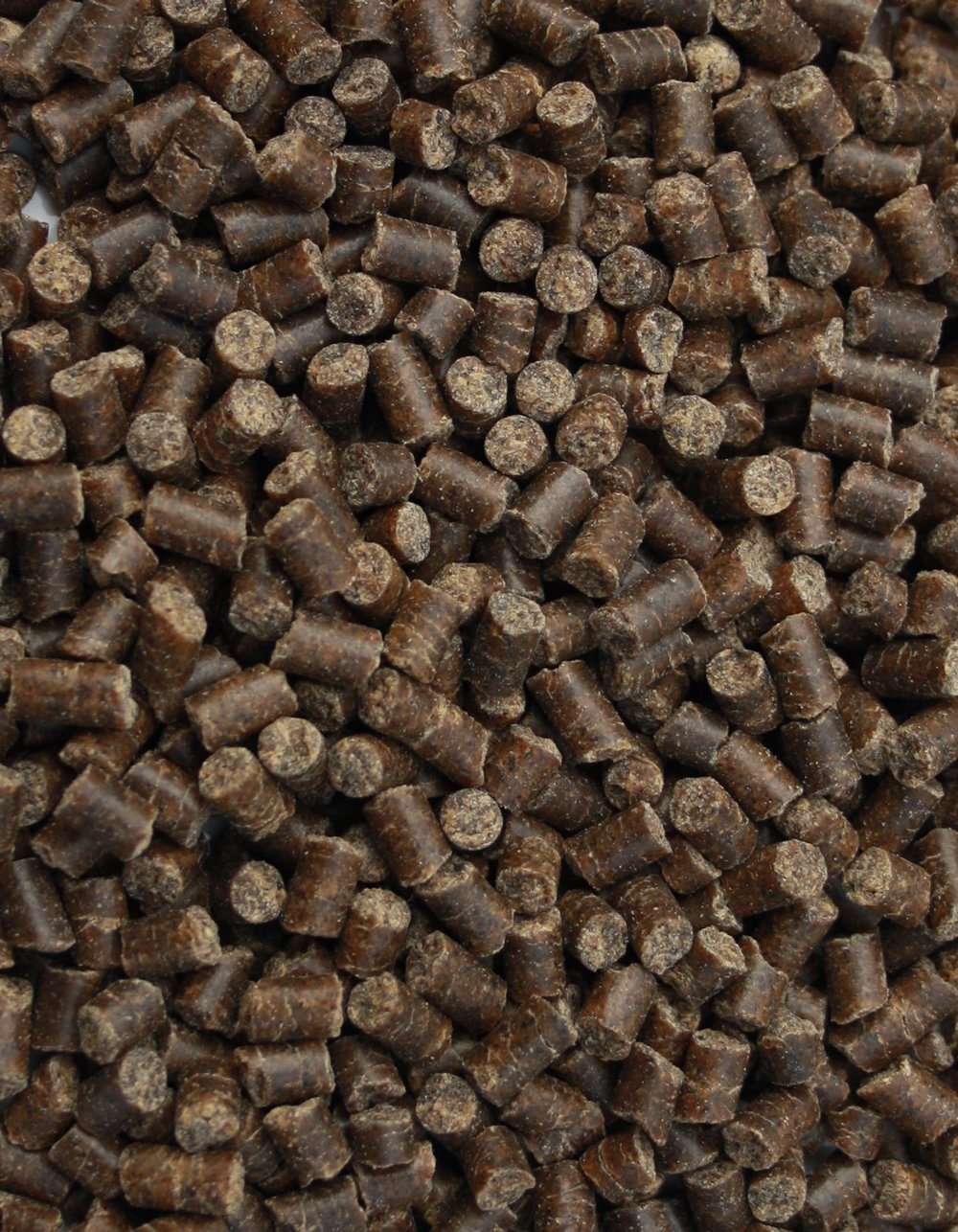 Winterfutter Koi, Sinkfutter für Koi im Winter, Winter Diet, liefert Koi schonend Energie 5mm 10kg