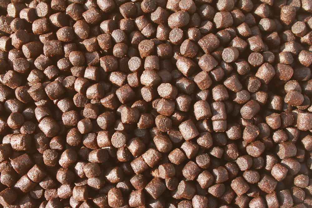 Betaglucan Koifutter, Tomodachi Koibalance, Schwimmfutter Immunschutz, Vitalfutter Koi  5mm 10kg