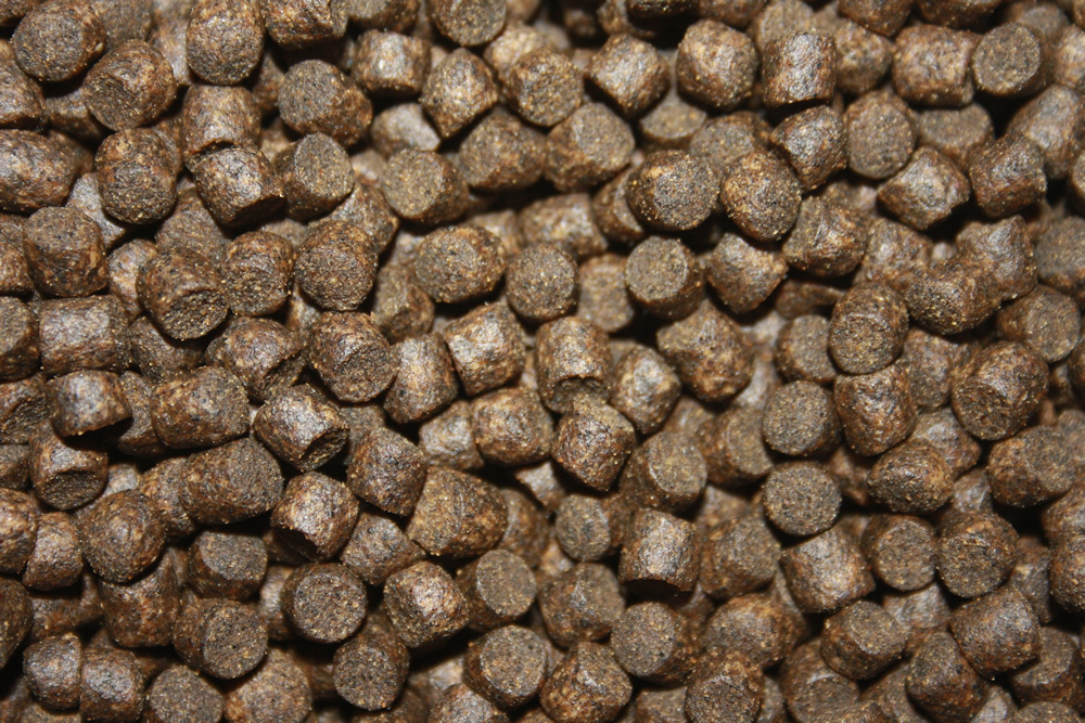 Winterfutter, Sinkfutter für Koi in Winterruhe, Tomodachi Deep Winter 5mm 5kg