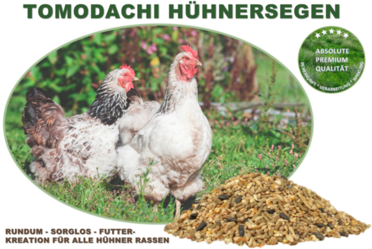 Hühnerfutter, Naturprodukt, Komplettnahrung für Geflügel Tomodachi Hühnersegen 5kg
