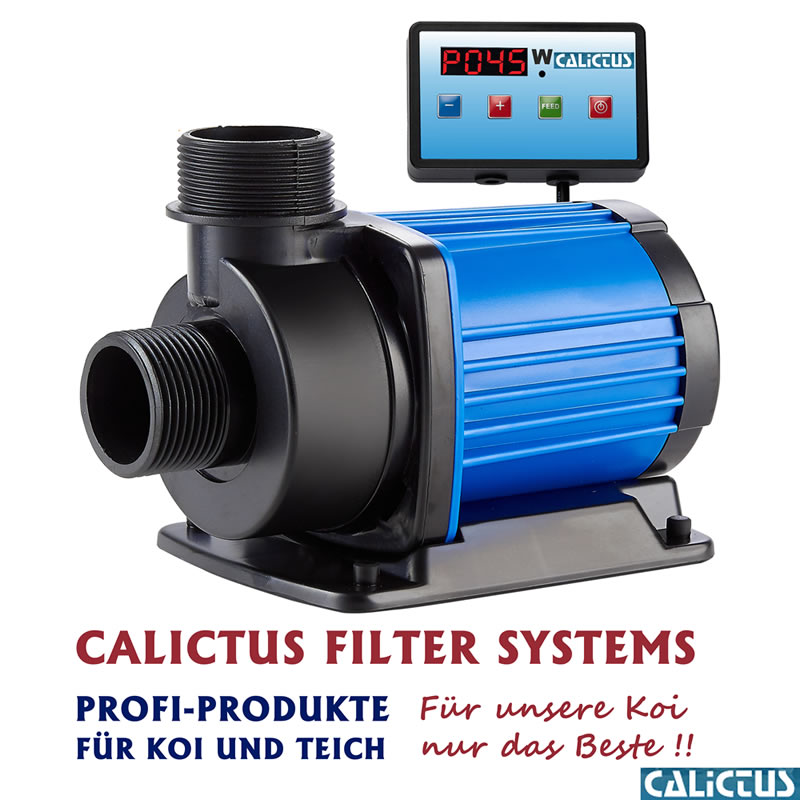 Schwimmteichpumpe Calictus ECO 10.000 Vario, stufenlos regelbar, 24V 85W 10000L/h  6-Pol Motor