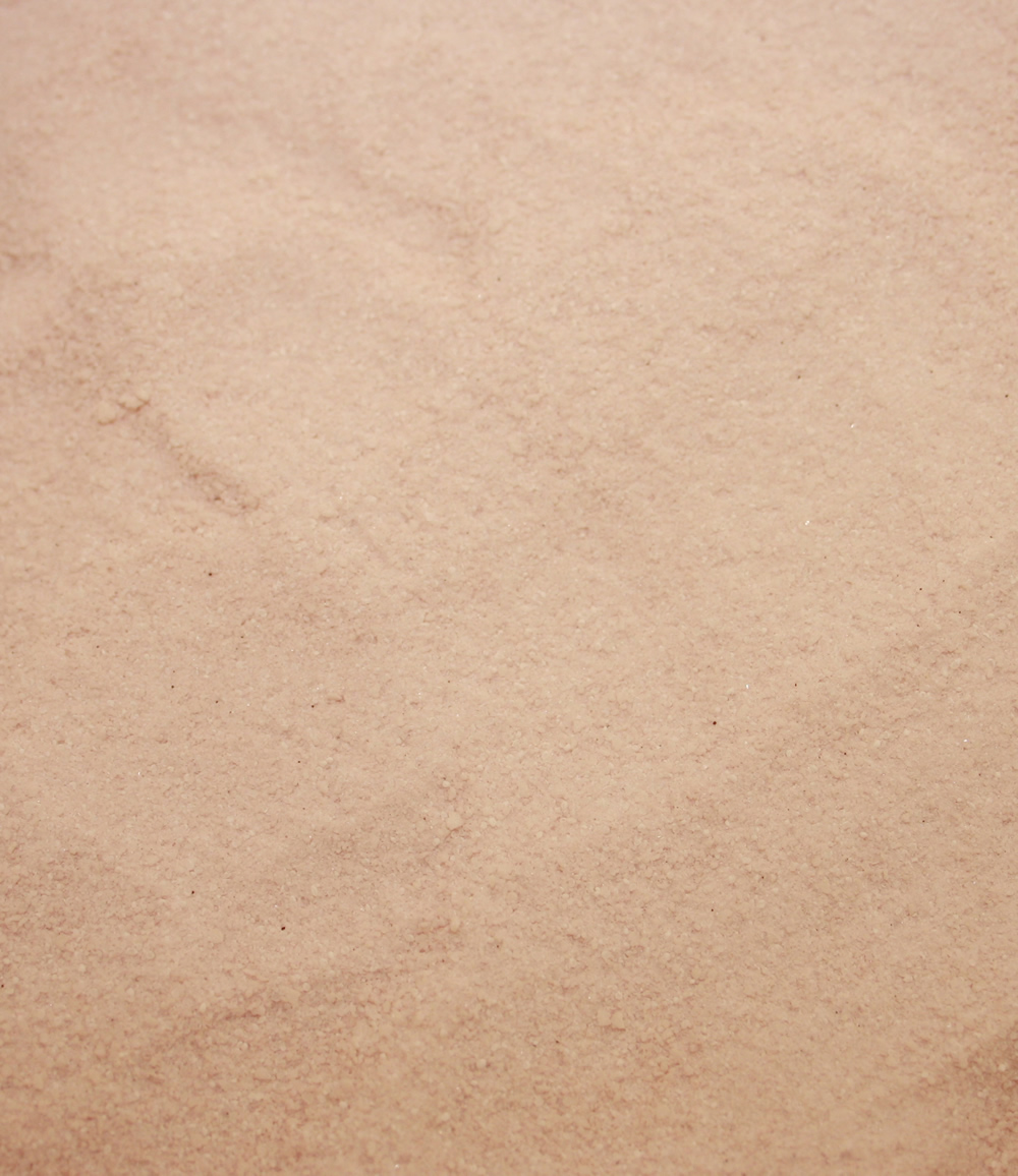 Desinfektion Teichhygiene Virkon Aquatic tötet Viren Bakterien Pilze Einzeller im Koiteich 480g