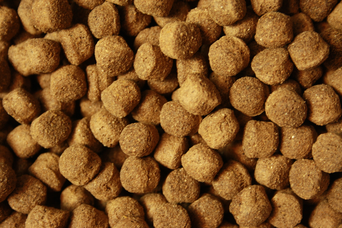 Ganzjahresfutter Koi, Schwimmfutter Tomodachi All Season Good Shape 8mm 2kg