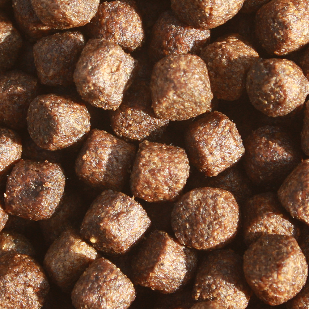 Herbstfutter für Koi, schwimmendes Energiefutter  Spirulina Farbverbesserung, Immunschutz 10kg 8mm