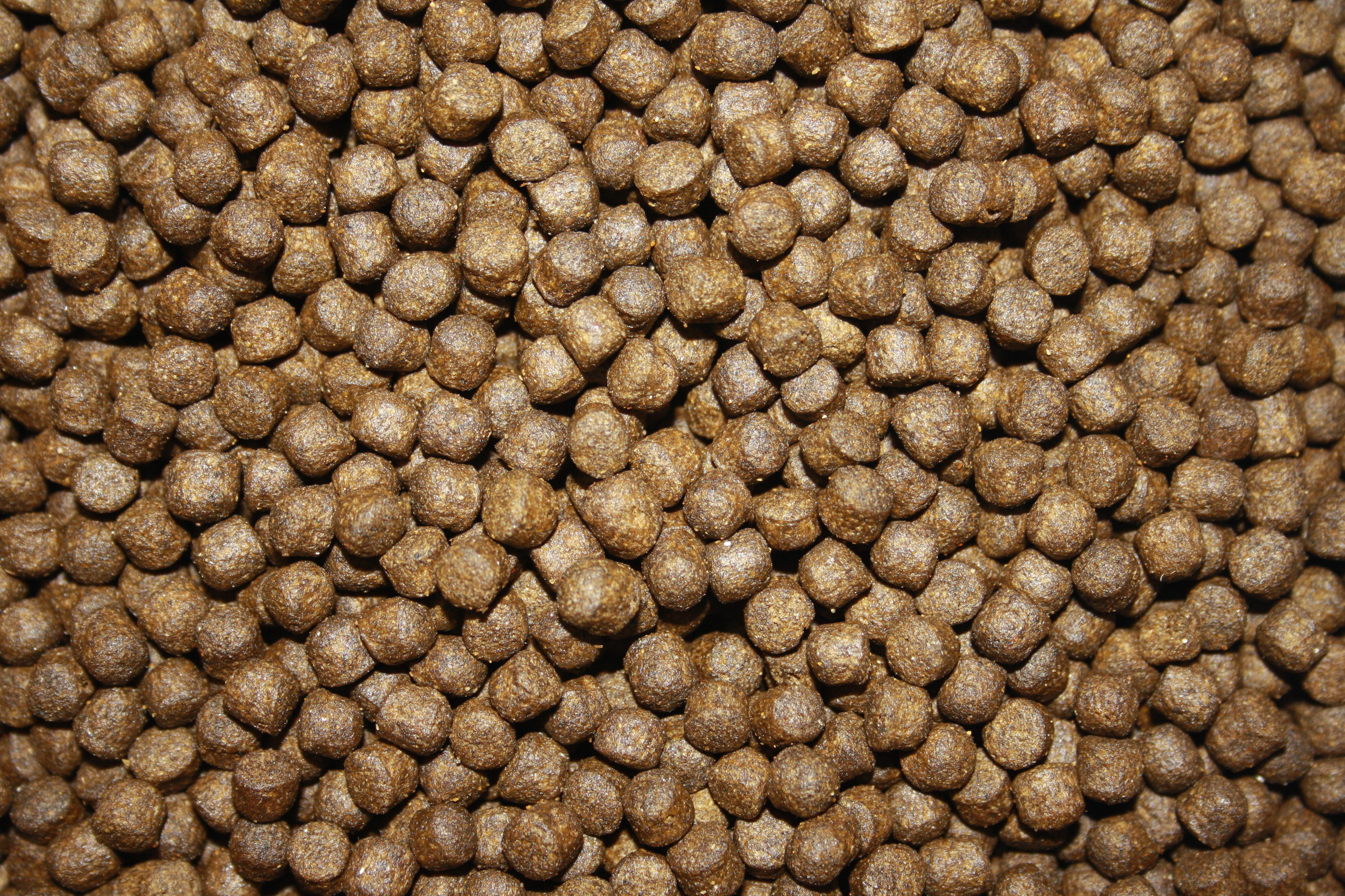 Saito Energy Color - Energie und Farbe, Frühjahrsfutter, Herbstfutter für Koi  2kg 5mm