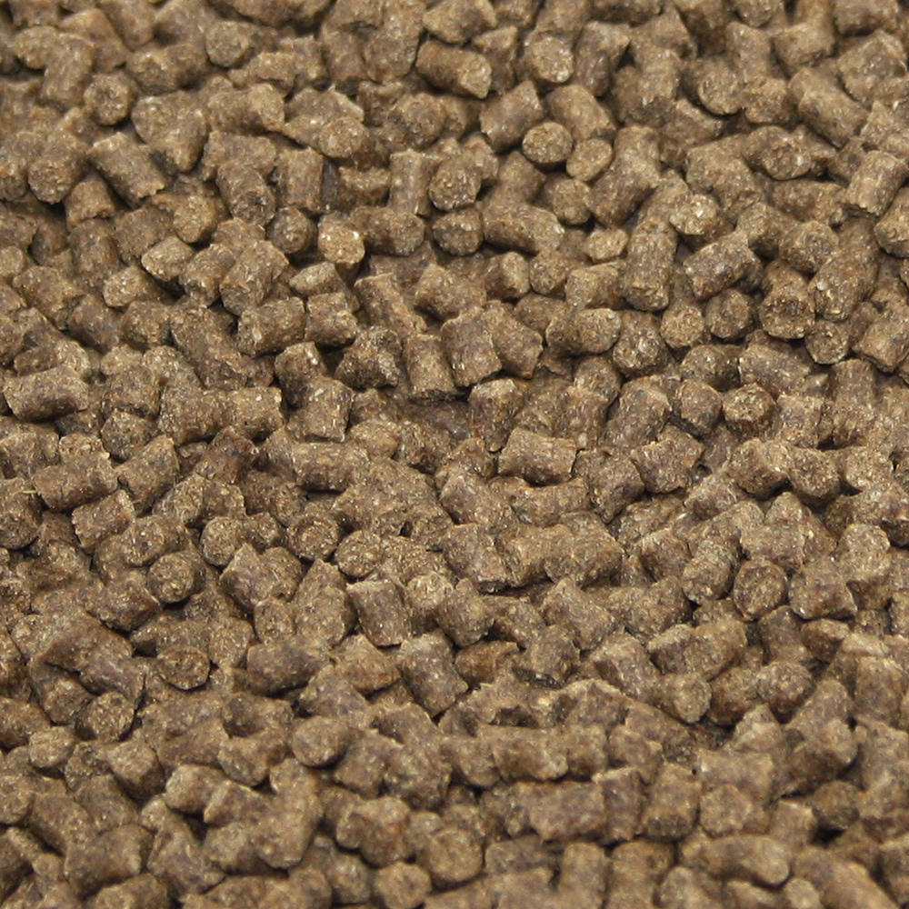 Winterfutter Koi  Gesundheitsfutter Sinkfutter Immunschutz Tomodachi Deep Winter Vital 5mm 5kg Eimer