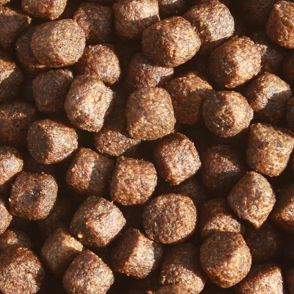 Betaglucan Koifutter, Vitalfutter Koi, Schwimmfutter, Immunschutz für Frühjahr und Herbst 5mm 5kg