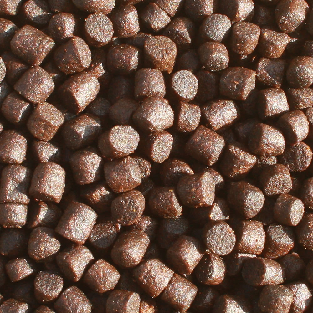 All Season Professional VITAL, Gesundheits Koifutter mit Monoglyceriden,  Immunschutzfutter 5mm 10kg