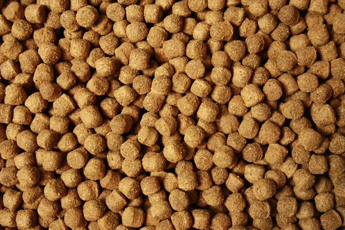 Jumbo Koifutter All Season Ganzjahres Koifutter Schwimmfutter für große Koi 8mm 5kg Eimer