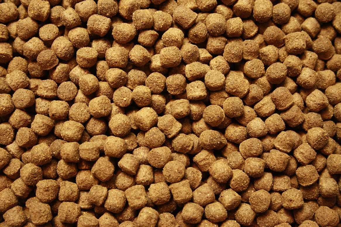 Antibakterielles Koifutter mit Monoglyceriden, Immunschutz,  Koigesundheit, AllSeason Vital 6mm 15kg