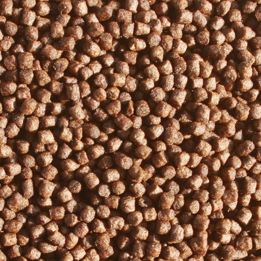 Koifutter, Sommerfutter Koi mit Monoglyceriden, Sommerfutter Plus VITAL Immunschutzfutter 3mm 1kg