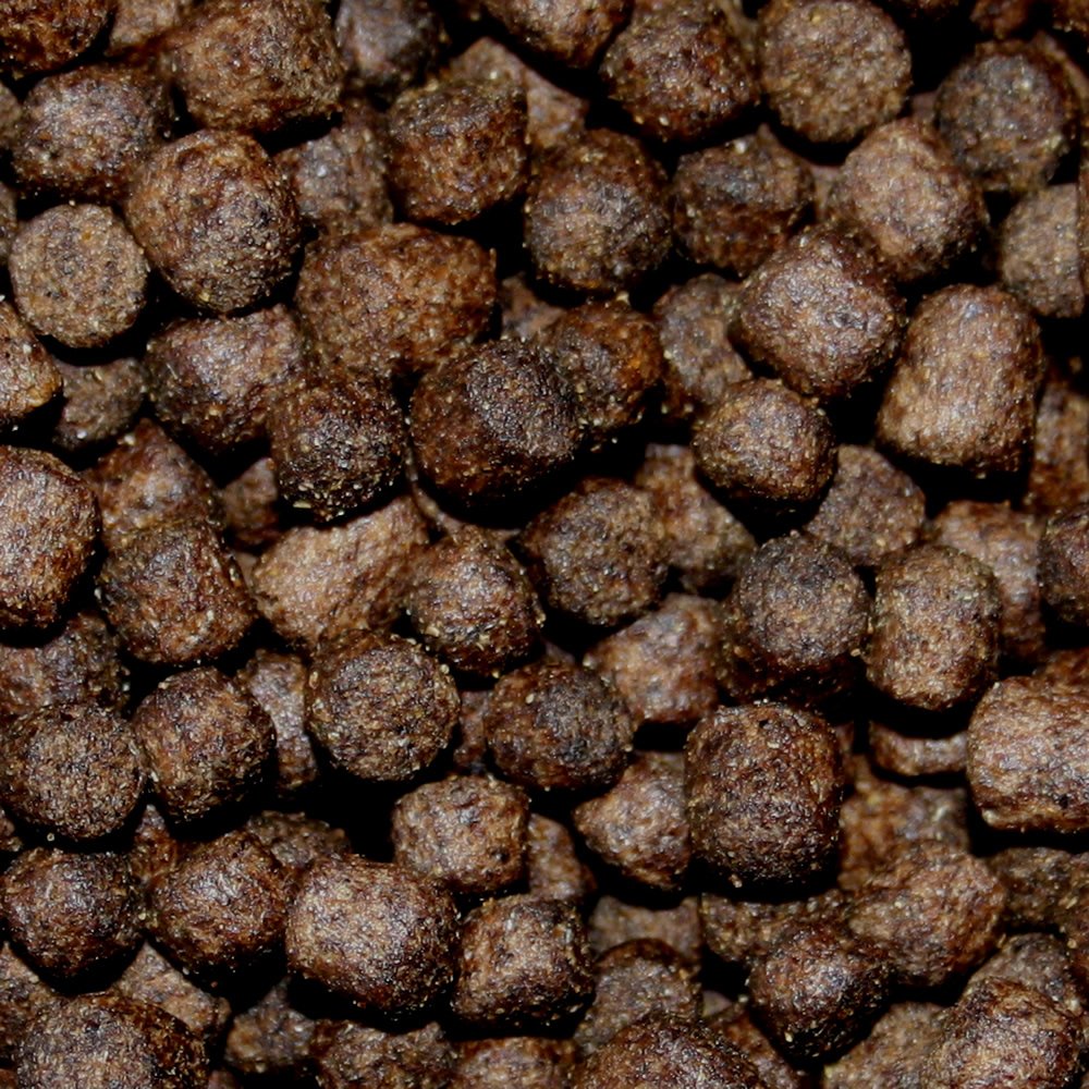 Frühjahrsfutter für Koi , langsam absinkend, sehr energiereich, hochverdaulich 5mm 3kg Eimer