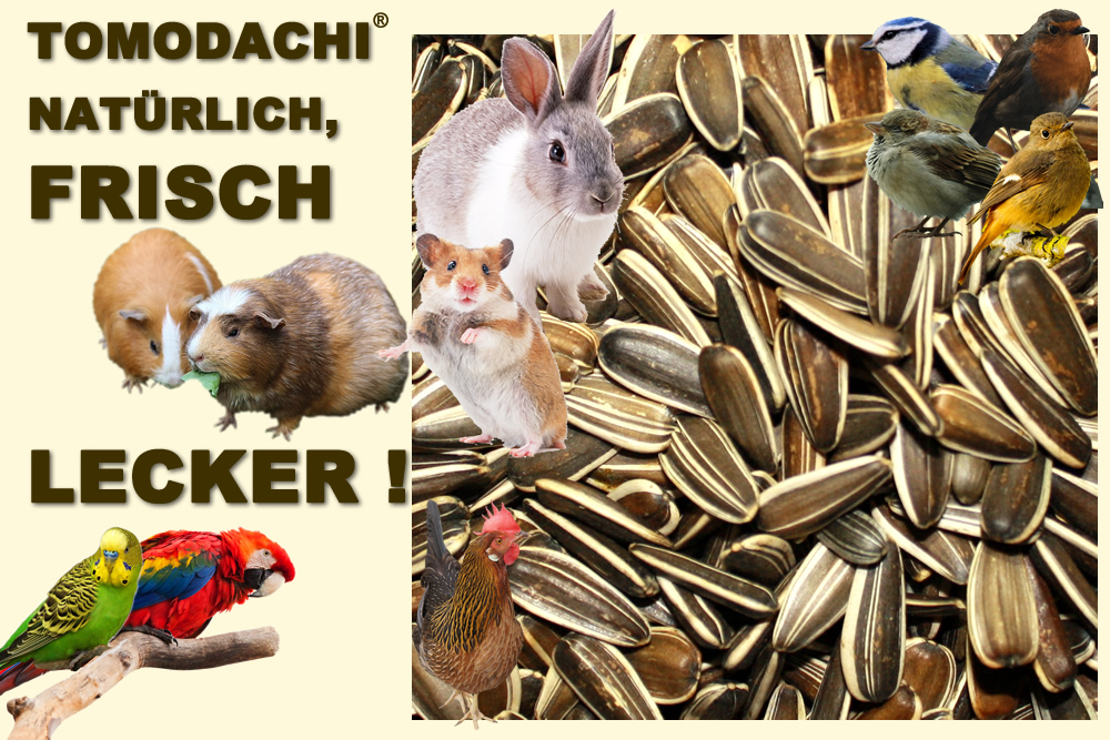 Vogelfutter Sonnenblumerne gestreift, XXL, Wildvogel, Singvogel, Winterfutter Energiefutter  10kg