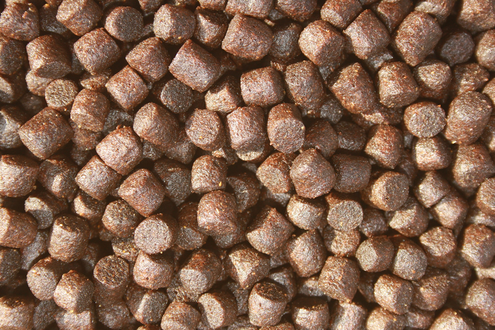 Koifutter,  Sommerfutter, Premium Schwimmfutter, Spirulina + Astax Farbschutzfutter 6mm, 10kg