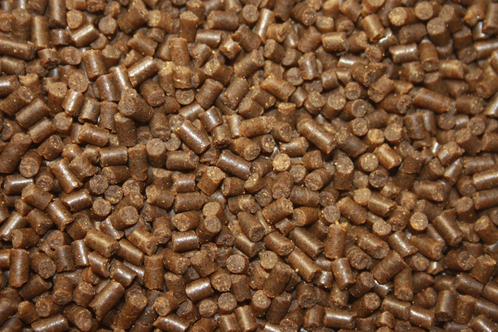 Winterfutter, Sinkfutter Koi, Jungkoifutter energiereich, schnellsinkend, WinterDiet Junior 3mm 10kg