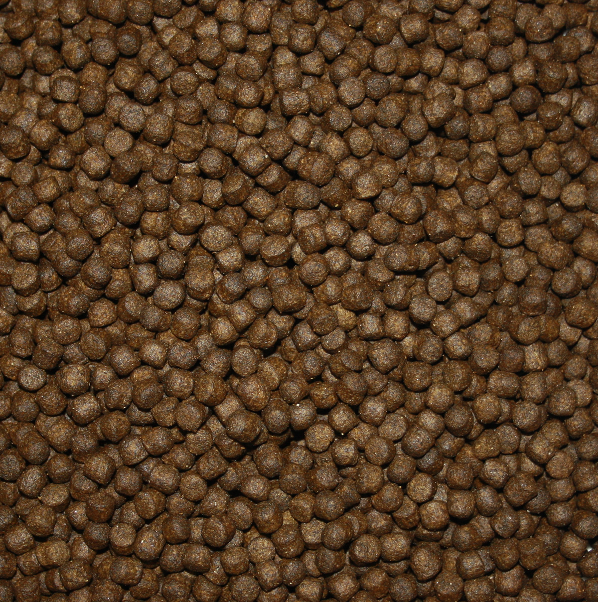 Saito Energy Color - Energie und Farbe, Frühjahrsfutter, Herbstfutter für Koi  2kg 5mm