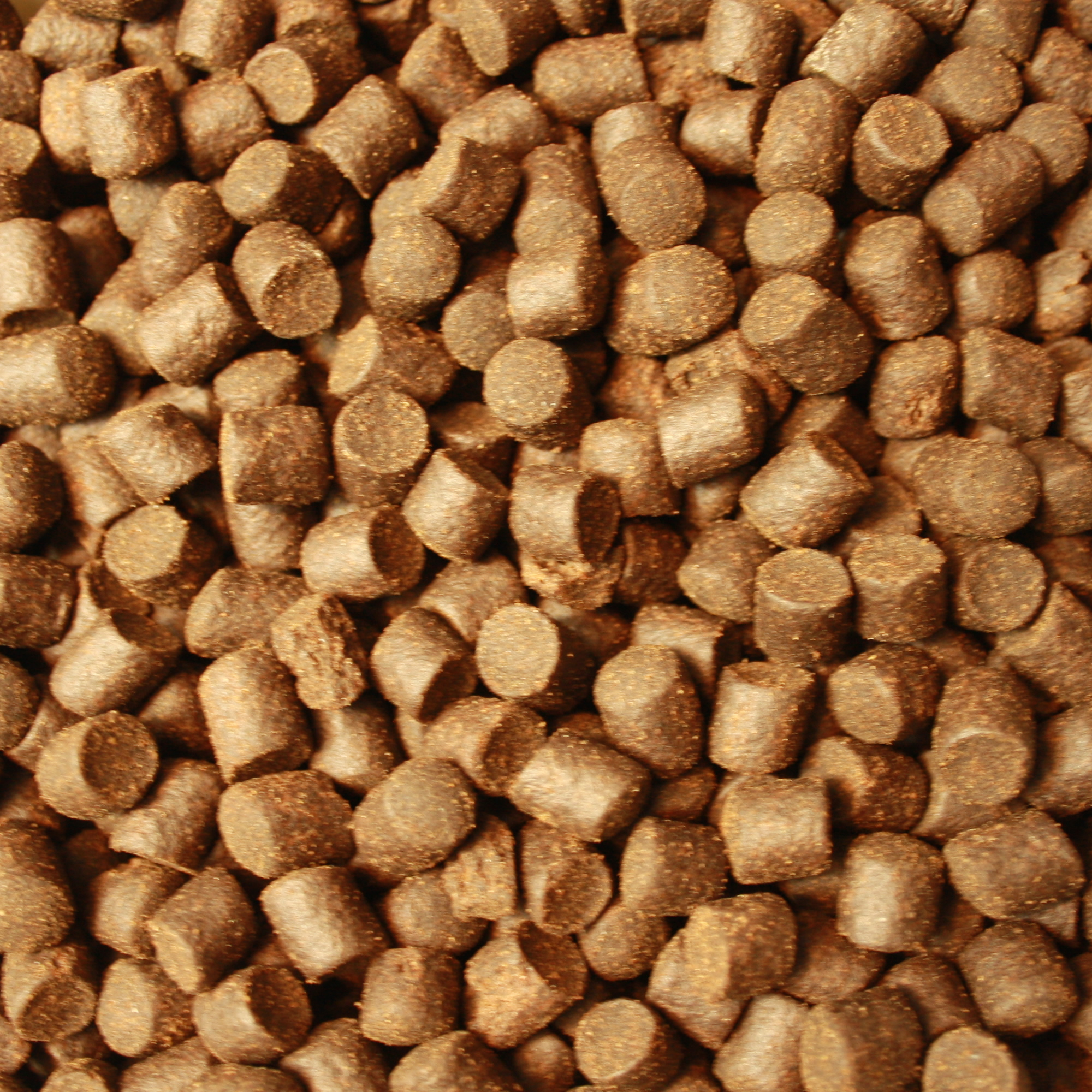 Gesundheitsfutter, Winterfutter Koi, Sinkfutter Monoglyceride, Tomodachi Deep Winter Vital 5mm 1kg