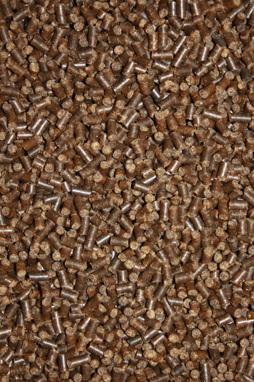 Sinkendes Koifutter, Winterfutter Jungkoi, schnellsinkend, energiereich, WinterDiet Junior 3mm 15kg