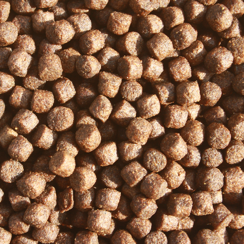 Frühjahrsfutter Koi, Energiefutter schwimmend, Spirulinafutter, Energie für Koi 10kg 6mm