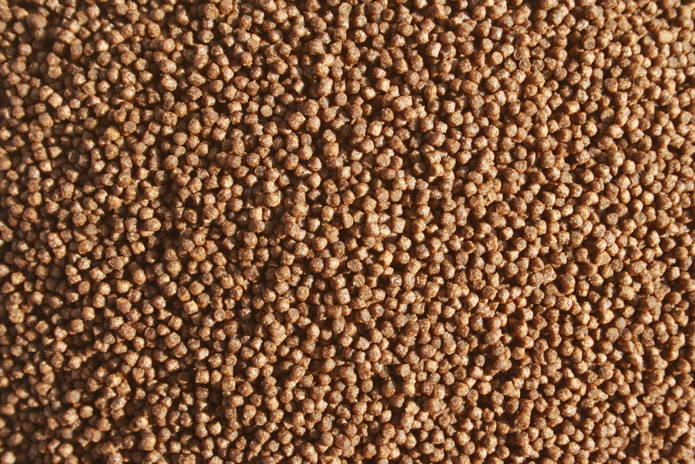 Tomodachi MegaGrower Koifutter, Wachstumsfutter, Aufzuchtfutter Jungkoi, 2mm 10kg