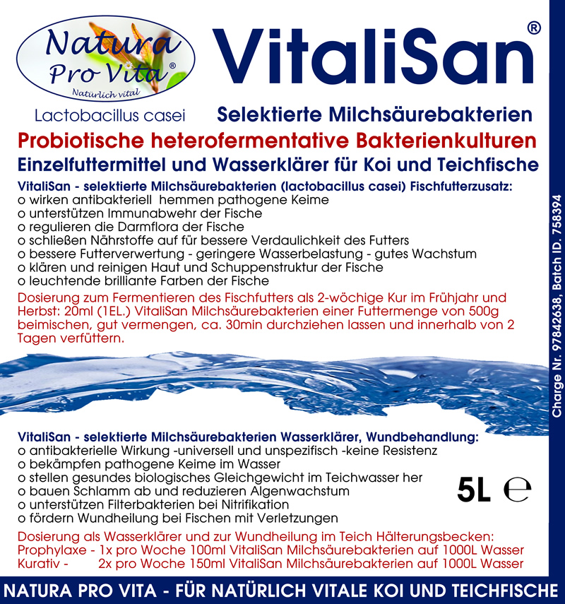 Milchsäurebakterien Koifutter Zusatz antibakteriell Futterverwertung hautklärend darmregulierend 5L