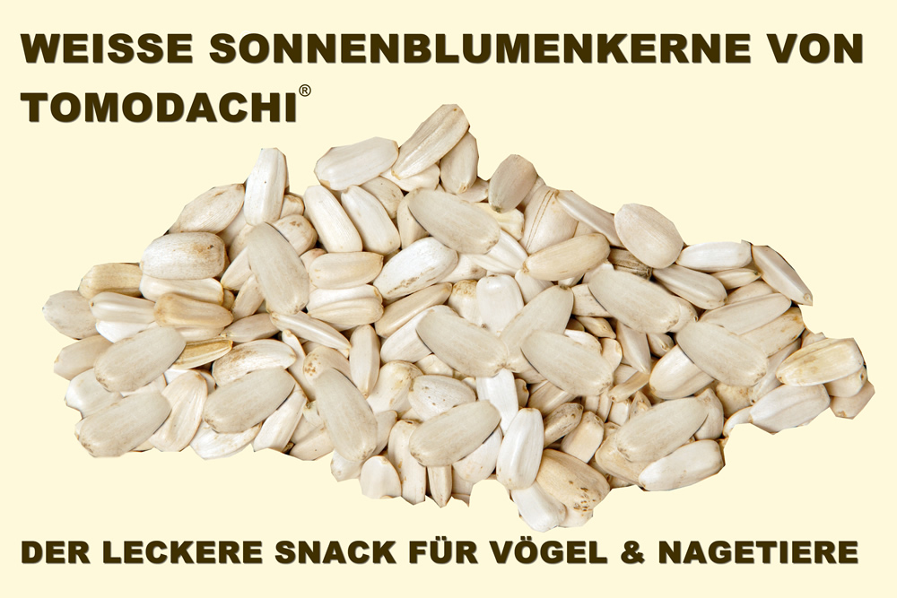 Sittichfutter, Papageienfutter, Vogelsnack, Hühnerbelohnung, Sonnenblumenkerne  weiß 5kg