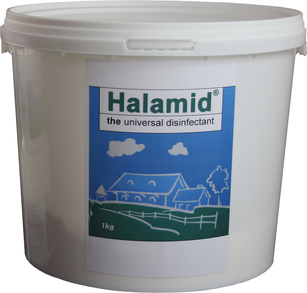 Halamid/ Chloramin-T gegen Bakterien, Viren, Pilze und Giardien, 1kg Eimer