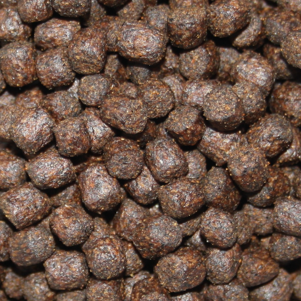 Koifutter mit Astax  Farbschutz und Immunschutz, Wachstumsfutter, Tomodachi Colorbooster 6mm 10kg