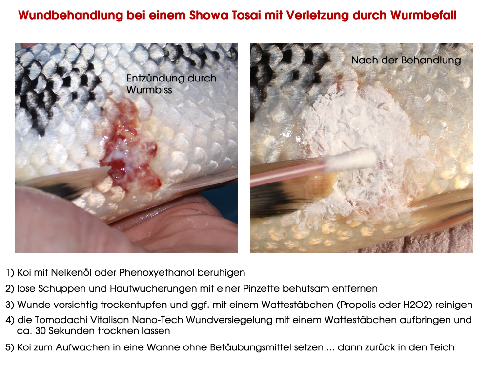 Wasserfeste, antibakterielle Wundversiegelung Koi, Nanotech Wound-Sealer, Tomodachi VitaliSan 100g D