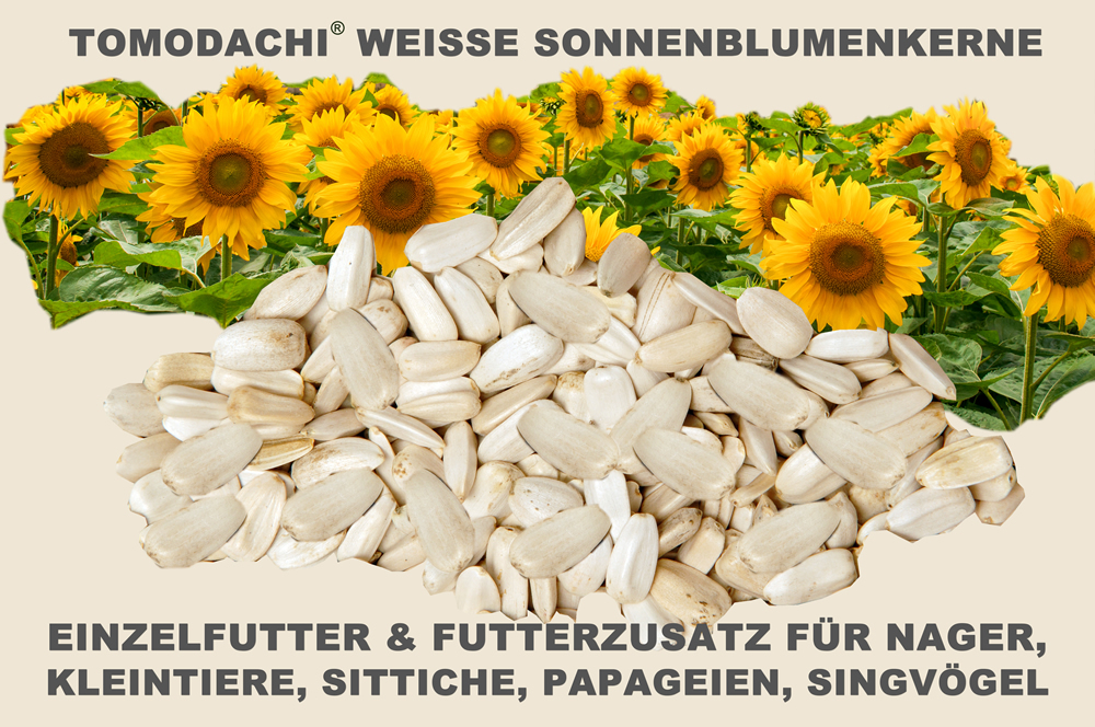 Sittichfutter, Papageienfutter, Vogelsnack, Hühnerbelohnung, Sonnenblumenkerne  weiß 5kg