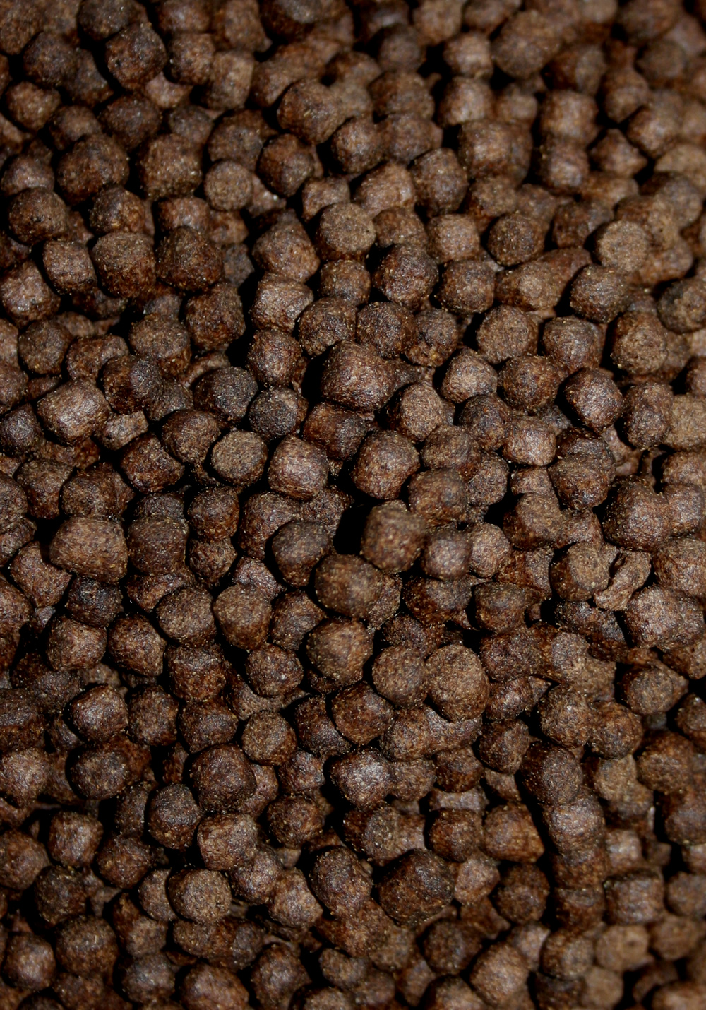 All Season Professional Koifutter, energiereiches Ganzjahresfutter, Wachstumsfutter Koi 6mm 2kg