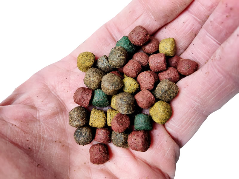 Koifutter-Mischung Jumbo-Koimix 8mm Pellets großer Koifuttermix 4farbig Spirulina Astax 8mm 10kg