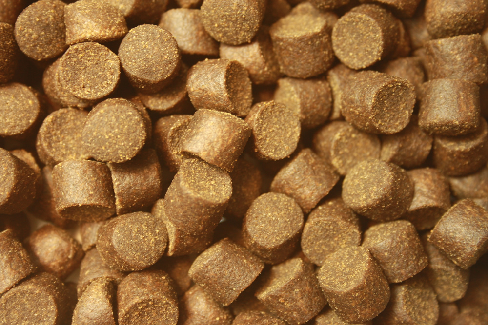 Störfutter hoch energiereich, Premium Störsinkfutter große Störe, Störfutter Top Qualität 10mm 15kg