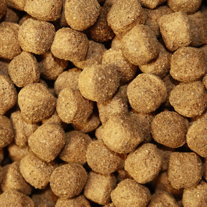 Antibakterielles Koifutter mit Monoglyceriden All Season Vital, Immunschutz, Koigesundheit  8mm 10kg