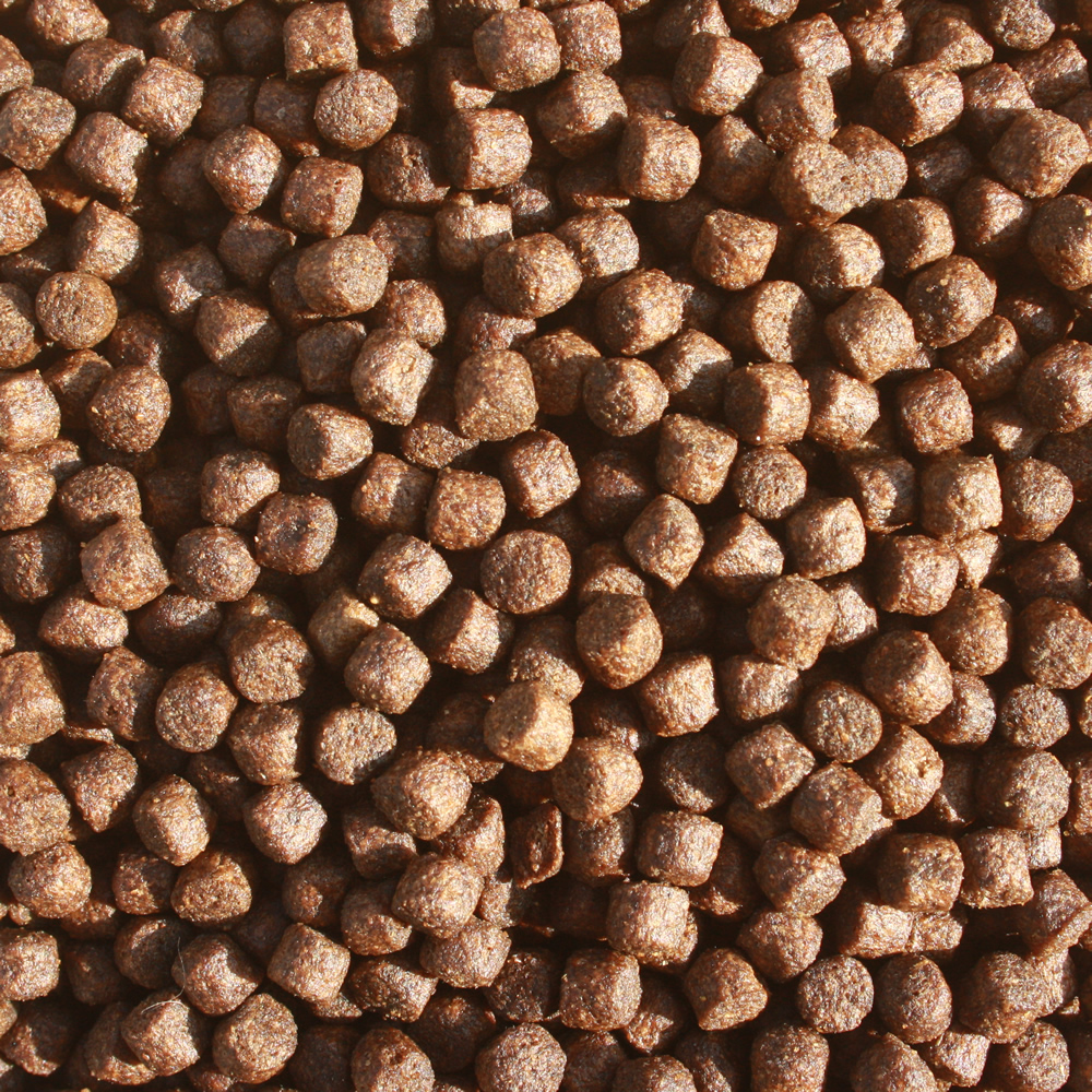 Wachstumsfutter Koi, Aufzuchtfutter, Kraftfutter Koi,Tomodachi High Growth 6mm 15kg