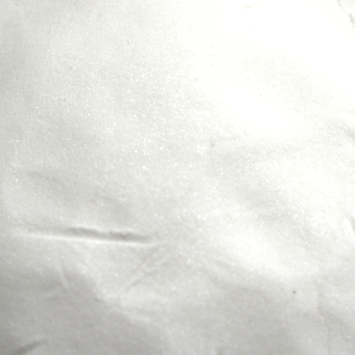 Halamid / Chloramin-T gegen Bakterien, Viren, Pilze und Giardien, 100g Dose