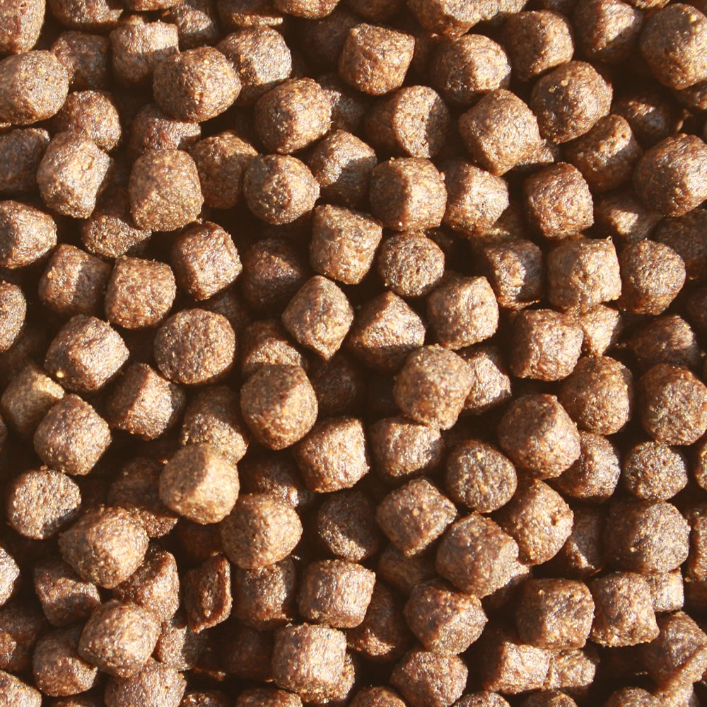 All Season Professional VITAL Gesundheits Koifutter antibakterielles Immunschutzfutter 5mm 5kg Eimer