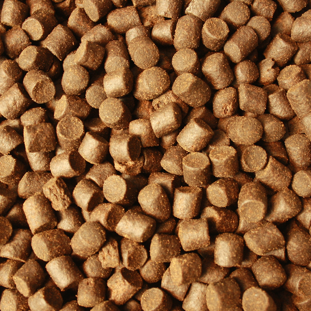 Gesundheitsfutter, Winterfutter Koi, Sinkfutter Monoglyceride, Tomodachi Deep Winter Vital 5mm 10kg