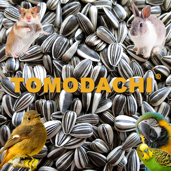 Kaninchenfutter, Nagerfutter, Nagersnack, XXL Sonnenblumenkernfutter gestreift  3kg