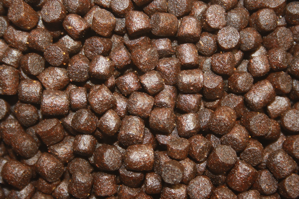 Koifutter, Immunschutzfutter für Koi im Sommer mit Monoglyceriden, Sommerfutter Plus VITAL  5mm 15kg