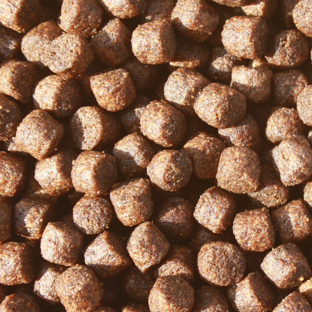 Frühjahrsfutter Koi, Energiefutter schwimmend, Spirulinafutter, Energie für Koi 10kg 6mm