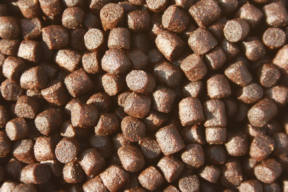 Sommerfutter Koi, Premium Wachstumsfutter Koi, Astax + Spirulina, 6mm, 2kg