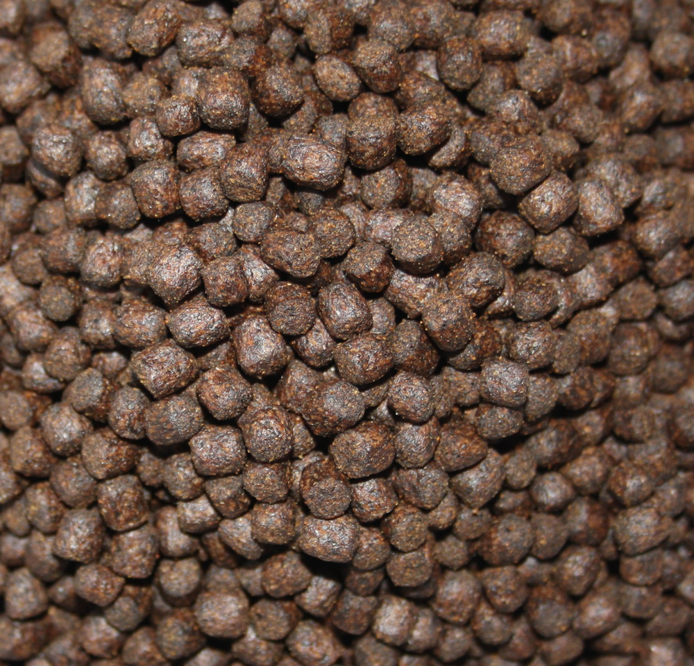 Wachstumsfutter Koi, Farbschutz Koifutter, Immunschutzfutter Koi, Tomodachi Colorbooster 6mm 2kg